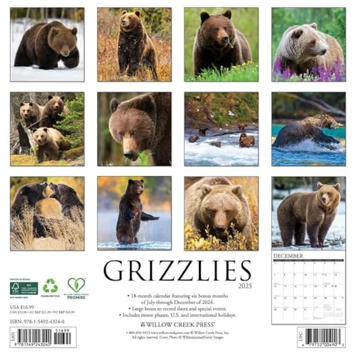 Grizzlies 2025 12" x 12" Wall Calendar by WILLOW CREEK - Image 3