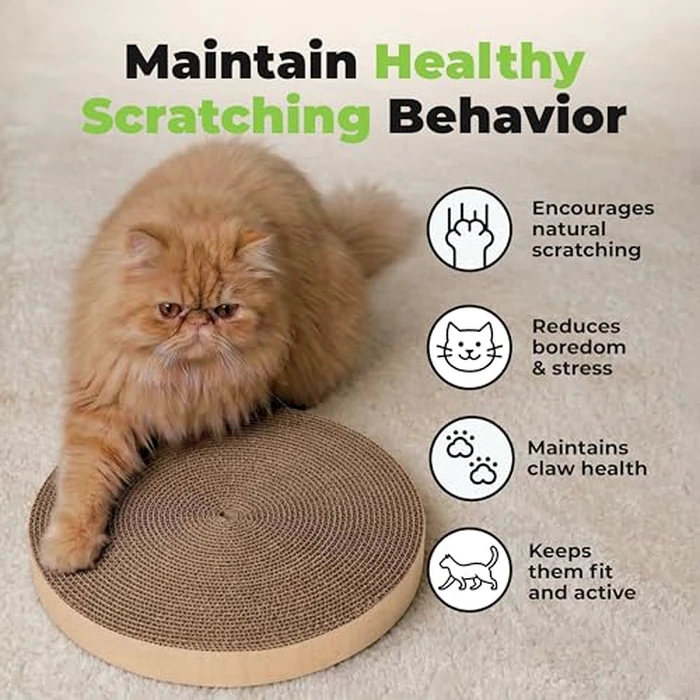 Best Pet Supplies Catify by Best Pet Supplies Spin and Scratch Replacement Pads (5 Pack) by Best Pet Supplies - Image 6