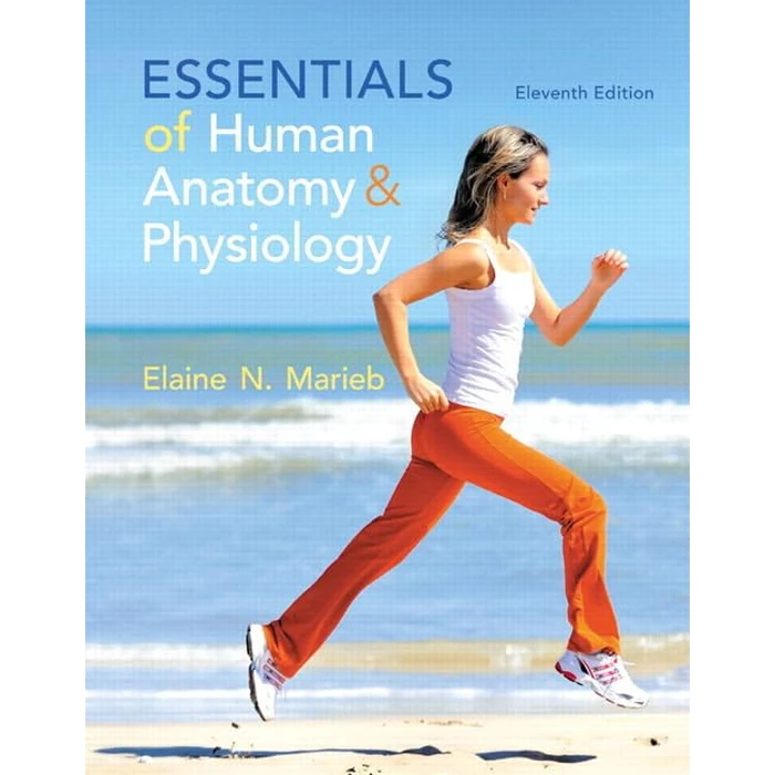 Essentials of Human Anatomy & Physiology (11th Edition) by PEARSON EDUCATION - Used - Acceptable condition - US$5.30