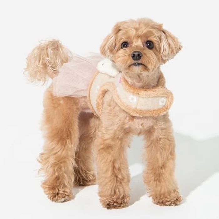 Pinkaholic New York Lidia Dress Dog Harness Warm Winter Flower Pattern for Small Dog, Beige, Medium by PINKAHOLIC - Image 3