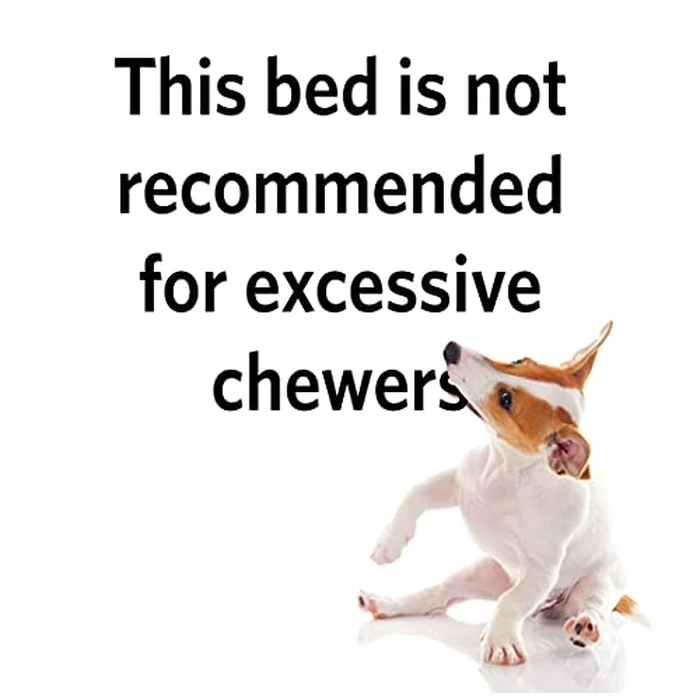 New World Bolster Dog Bed 74.1cm x 55.5cm x 8.9cm Dog Bed with Comfortable Bolster, Ideal for Medium Dog Breeds, B40230-GY by New World - Image 5