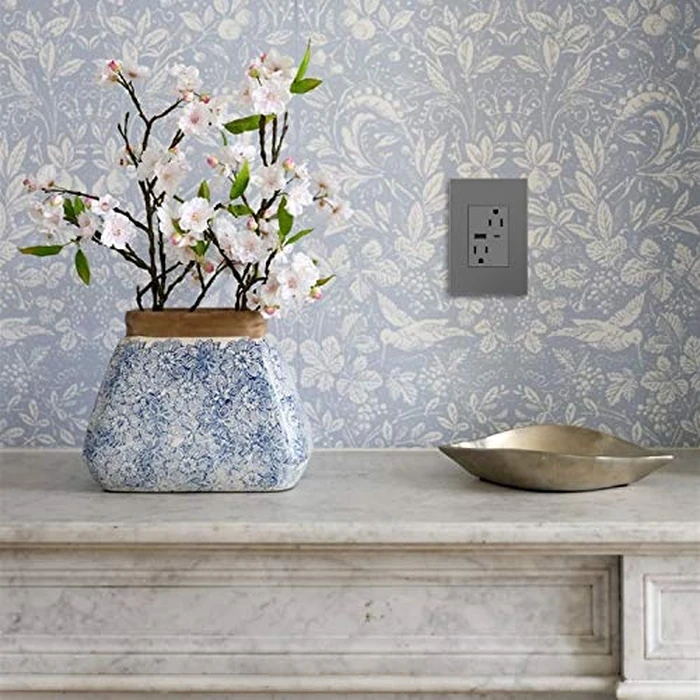 adorne Dual-USB, 15A, Ultra-Fast Charge, 6 Amp, Type A/C, USB, Hybrid Outlet, Magnesium, ARTRUSB156ACM4 by adorne - Image 3