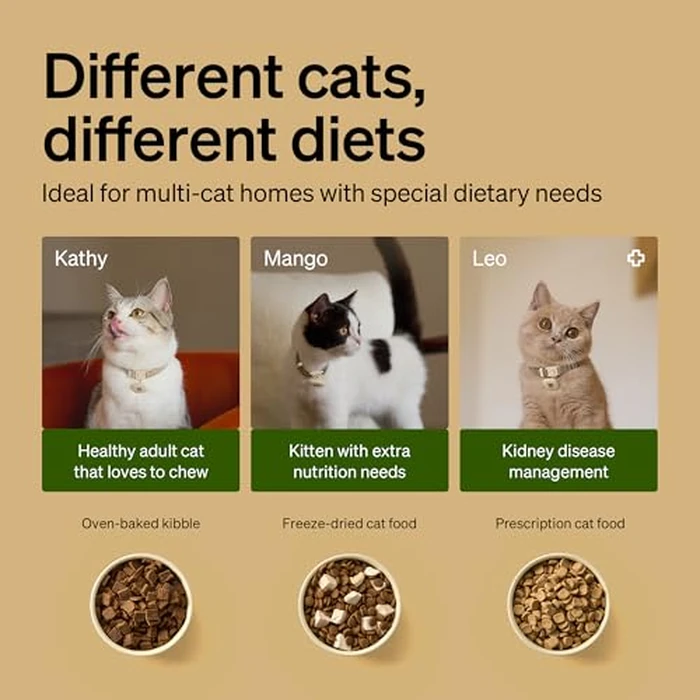 PETLIBRO RFID Automatic Cat Feeder, Collar Sensor for Personalized Meals, Cats Recognition, Diet Tracking and Anti-Stealing for Multi-Pets Homes and Different Diets, Wi-Fi Programmable Food Dispenser by PETLIBRO - Image 6