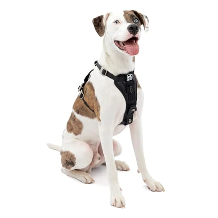 Kurgo Dog Harness | Car Harness for Dogs | Medium | Black | Pet Safety Seat Belt | Certified Crash Tested Harness | Car Seatbelt | Tru-Fit Enhanced Strength Style by Kurgo - Image 1