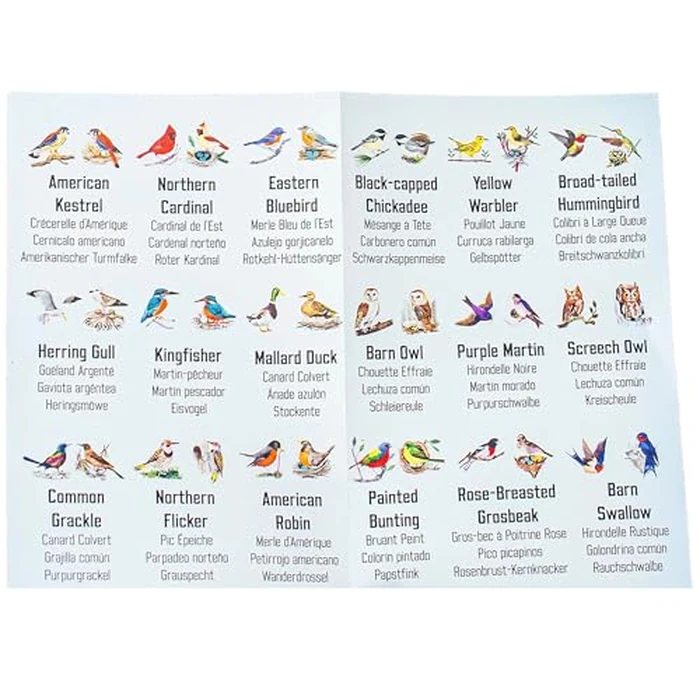 eeBoo: Memory & Matching Game- Little Birds- 18 Illustrated Matching Pairs, Concentration Tile Game, Informational Insert, Kids Ages 4+, 1-4 Players by eeBoo - Image 8