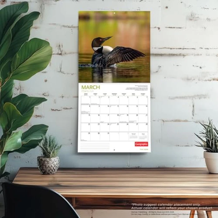 Canadian Geographic The Loon OFFICIAL | 2026 12 x 24 Inch (Hanging) Monthly Square Wall Calendar | Foil Stamped Cover | Wyman Publishing | Nature Birds Wildlife by BrownTrout Publishers Ltd. - Image 3