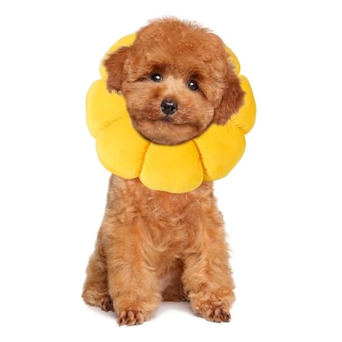 HOMBYS Soft Dog Cone for Dogs and Cats, Cute & Fluffy Flower Shape for Claming, Adjustable Dog Collar Alternative After Surgery, Protective Elizabethan Collar for Dogs Recovery & Stop Licking, M by HOMBYS - Image 1