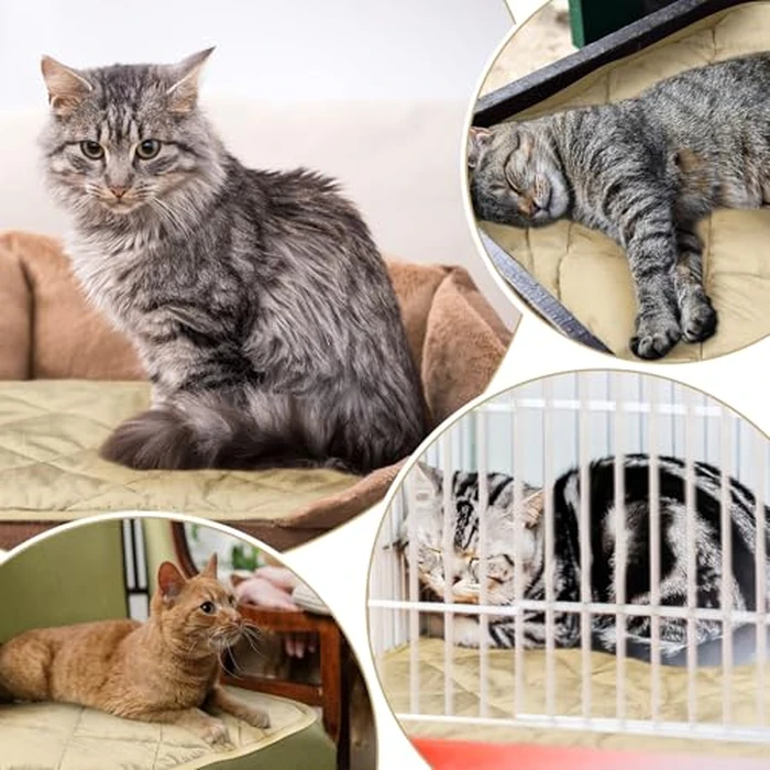 Clysee 4 Pack Self Heating Cat Pad Self Warming Dog Mat Reflects Body Heat Extra Warm Thermal Pet Pad Washable Dog Cat Bed Crate Bed Mat Blanket(Beige,16 x 20 Inch) by Clysee - Image 5