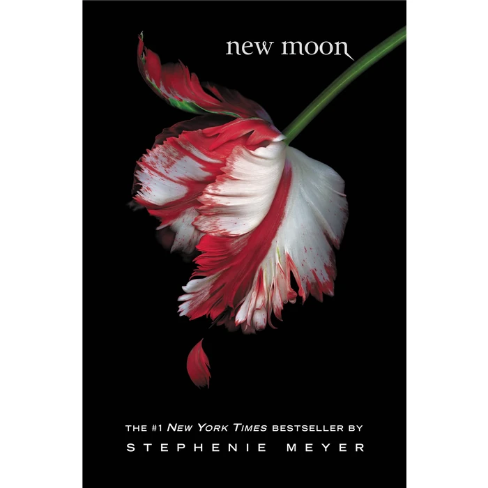 New Moon by LITTLE, BROWN - Used - Acceptable condition - CA$9.00