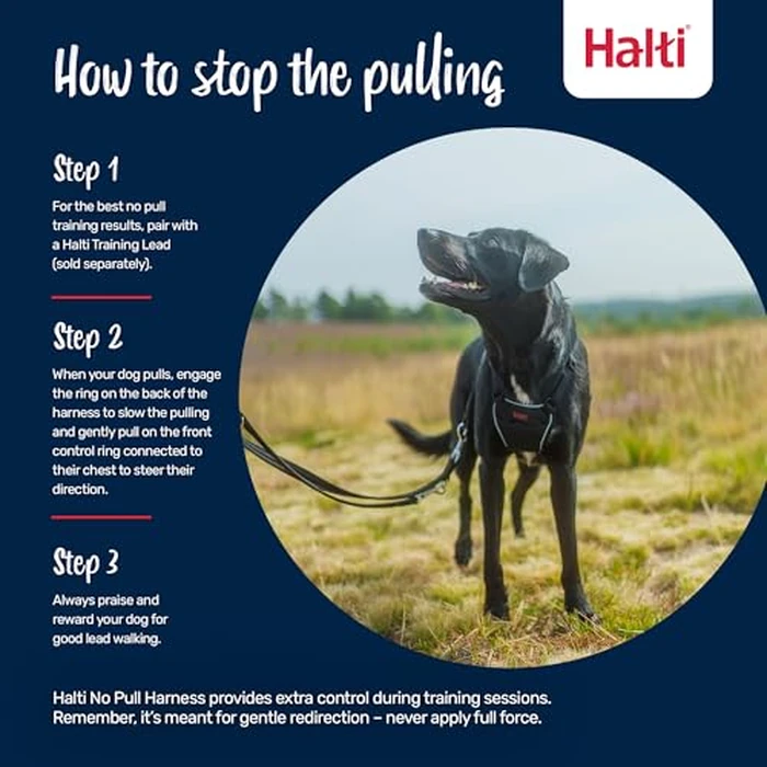 Halti No Pull Harness - Stop Your Dog Pulling on The Leash. Adjustable, Lightweight and Easy to Use. Reflective Dog Training Harness for Large Dogs (Size L, Cobalt Blue) by Halti - Image 4