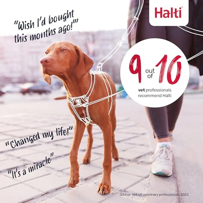 Halti No Pull Harness - Stop Your Dog Pulling on The Leash. Adjustable, Lightweight and Easy to Use. Reflective Dog Training Harness for Large Dogs (Size L, Cobalt Blue) by Halti - Image 6