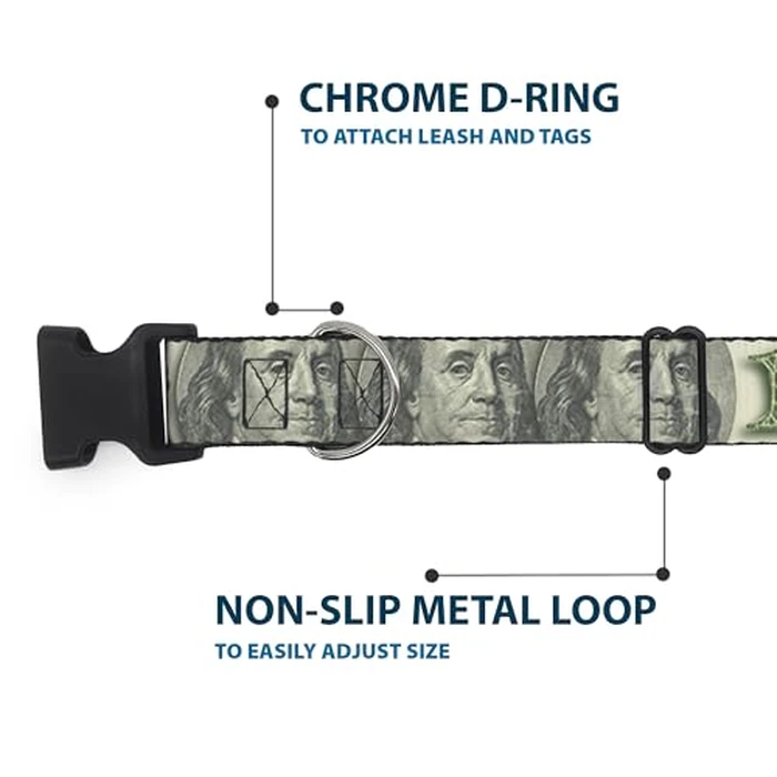 Buckle-Down PC-W30017-M Dog Collar Plastic Clip Buckle, 100 Dollar Bill C/U/Triple Benjamin, 1" x 11-17" by Buckle-Down - Image 5