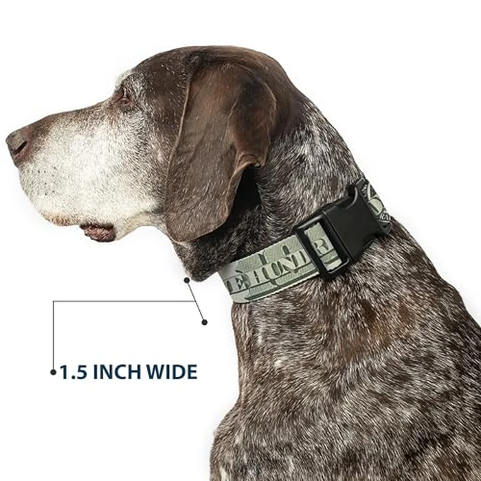 Buckle-Down PC-W30017-M Dog Collar Plastic Clip Buckle, 100 Dollar Bill C/U/Triple Benjamin, 1" x 11-17" by Buckle-Down - Image 7