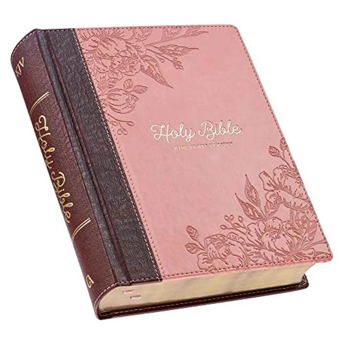 KJV Holy Bible, Note-Taking Bible, Faux Leather Hardcover - King James Version, Brown/Pink by Christian Art Gifts - Used - Good condition - CA$36.65