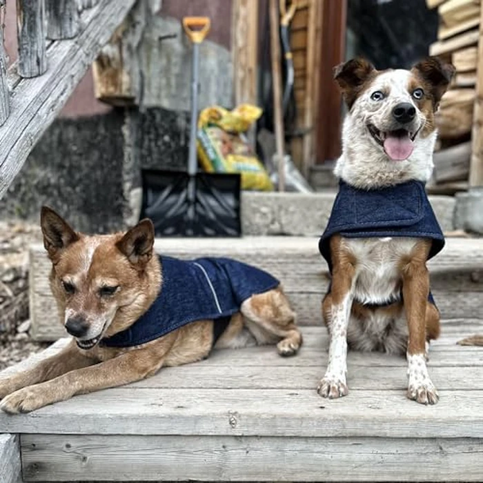 Carhartt Firm Duck Insulated Dog Coat, Denim, M by Carhartt - Image 6