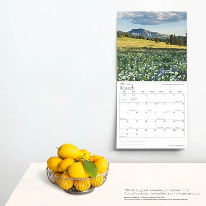 Canadian Wilderness | 2025 12 x 24 Inch Monthly Square Wall Calendar | Wyman Publishing | Regional Travel Nature Scenic by BrownTrout Publishers Ltd. - Image 3