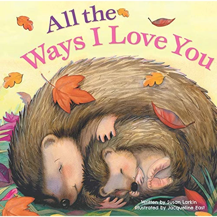 All the Ways I Love You-Beautiful Illustrations and a Heartwarming Poem to Share the Ways you Love your Little One (Tender Moments) by Rainstorm - Used - Good condition