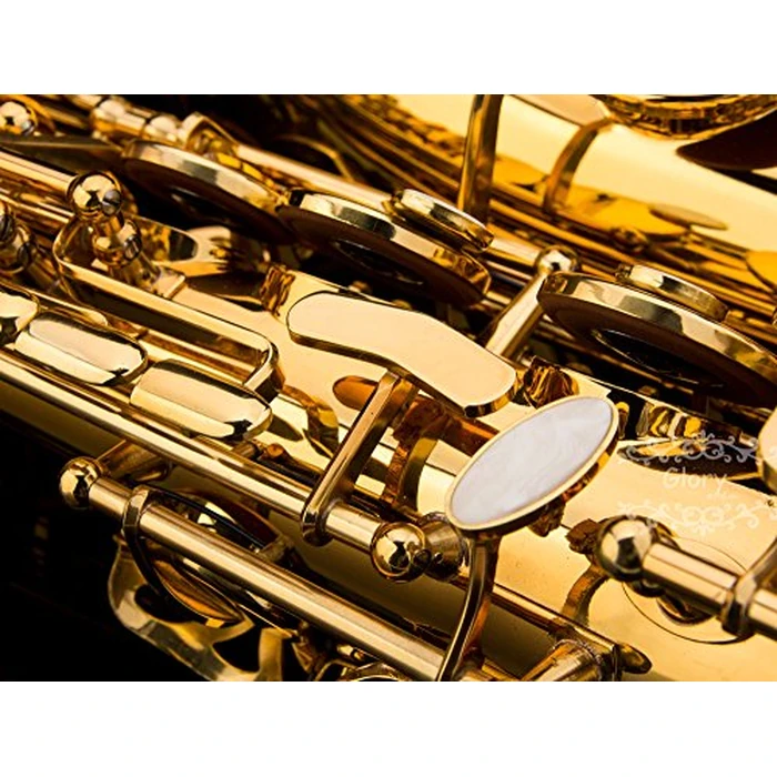 Glory Gold Laquer E Flat Alto Saxophone with 11reeds,8 Pads cushions,case,carekit by GLORY - Image 8