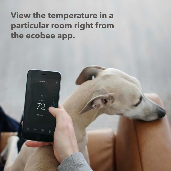 Ecobee SmartSensors for Indoor (2 Pack) - White by Ecobee - Image 2
