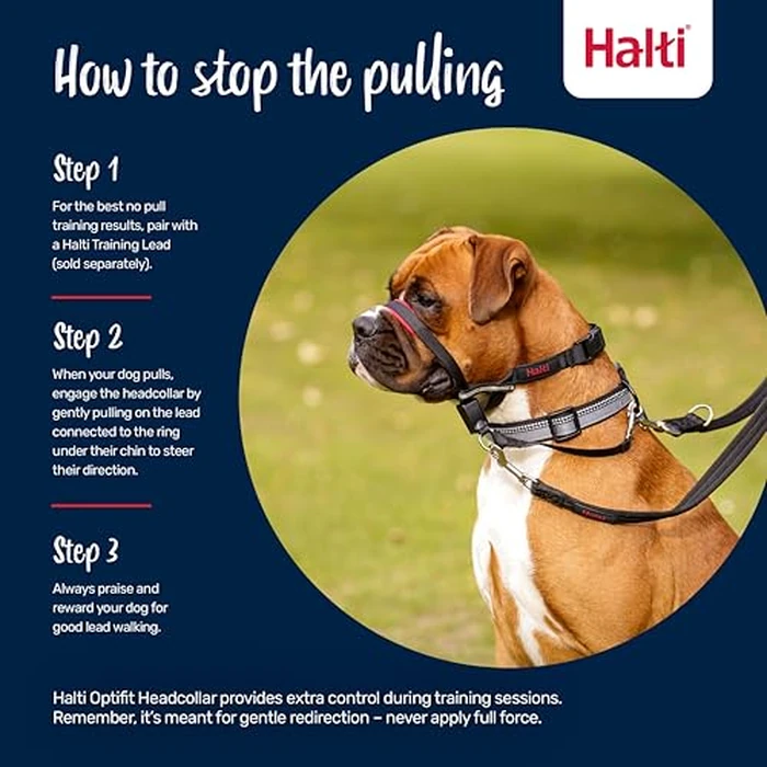 Halti Optifit Headcollar - Stop Your Dog Pulling on the Leash. Adjustable, Reflective and Lightweight, with Padded Nose Band. Dog Training Anti-Pull Collar for Large Dogs (Size Large) by Halti - Image 4