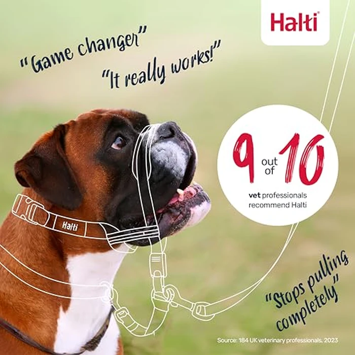 Halti Optifit Headcollar - Stop Your Dog Pulling on the Leash. Adjustable, Reflective and Lightweight, with Padded Nose Band. Dog Training Anti-Pull Collar for Large Dogs (Size Large) by Halti - Image 6
