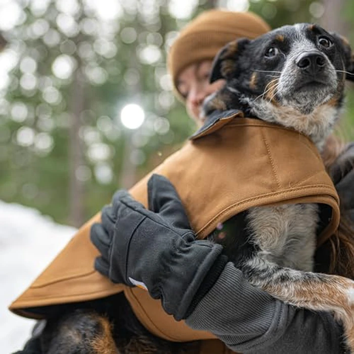 Carhartt Firm Duck Dog Chore Coat, Insulated Weather Resistant Jacket for Cold and Windy Conditions, Hunter Orange, X-Large by Carhartt - Image 6