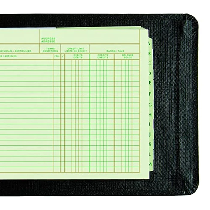 Blueline Mini-Ledger Outfits, 1-Inch Vinyl Cover Binder, 100 Mini-Ledger Sheets, 4 Rings, 6-3/16-Inch x 10-Inch, Bilingual, Black (B055) by BLUELINE - Image 4