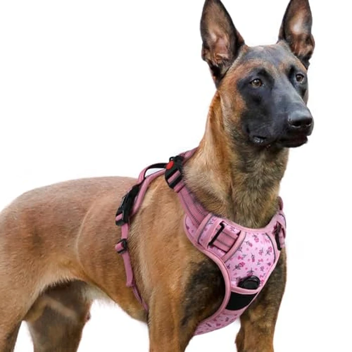 rabbitgoo Dog Harness for Large, No Pull Pet Harness with 3 Buckles, Adjustable Soft Padded Vest with Control Handle, Walking Reflective Pet Vest for Extra Large Dogs, Floral Pink, XL by rabbitgoo - Image 1