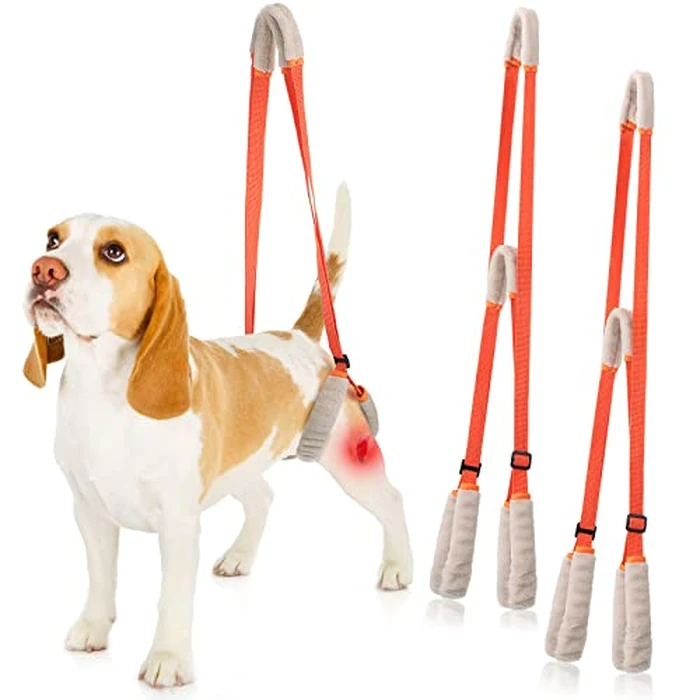 Mixweer 2 Pcs Dog Support Harness for Back Legs Dog Rear Lifting Sling Aid with Handle and Shoulder Strap Hind Leg Support for Pet Mobility Helps Puppy with Poor Stability Joint Injuries(Orange) by Mixweer - Image 1