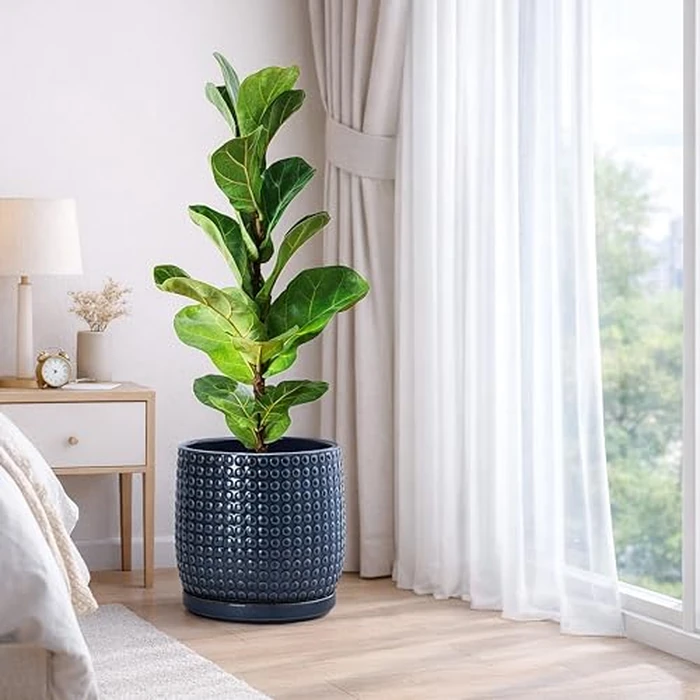 D'vine Dev 10 Inch Ceramic Beaded Stoneware Planter Pot - Flower Pot with Drainage Holes and Saucers for Indoor Succulent Plants or Flowers, Midnight Blue, 27-C-P-3 by D'vine Dev - Image 2