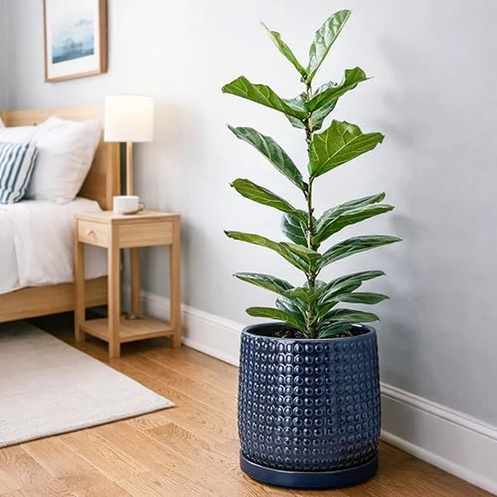 D'vine Dev 10 Inch Ceramic Beaded Stoneware Planter Pot - Flower Pot with Drainage Holes and Saucers for Indoor Succulent Plants or Flowers, Midnight Blue, 27-C-P-3 by D'vine Dev - Image 5