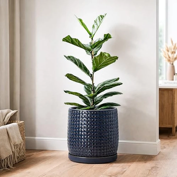 D'vine Dev 10 Inch Ceramic Beaded Stoneware Planter Pot - Flower Pot with Drainage Holes and Saucers for Indoor Succulent Plants or Flowers, Midnight Blue, 27-C-P-3 by D'vine Dev - Image 6