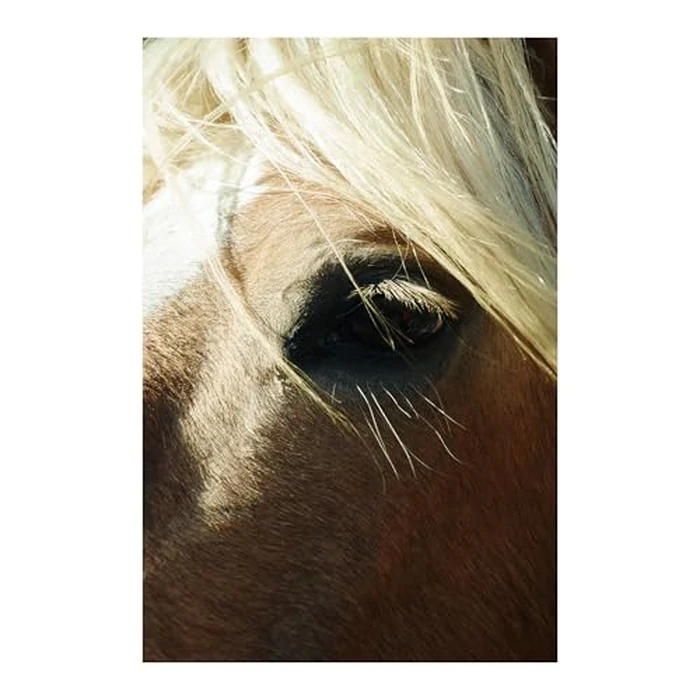 Sigma 16-300mm F3.5-6.7 DC OS | Contemporary Lens for L-Mount by Sigma - Image 6