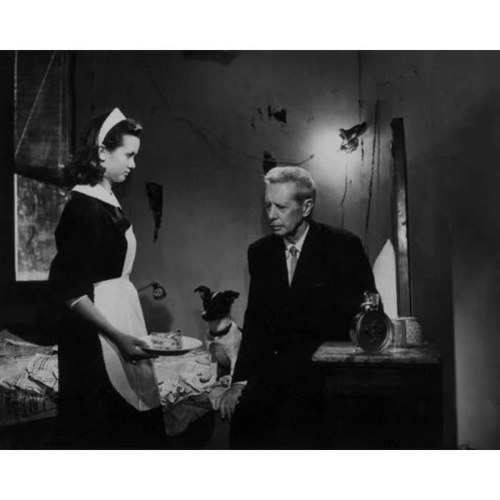 Umberto D. (The Criterion Collection) [Blu-ray] by The Criterion Collection - Image 3