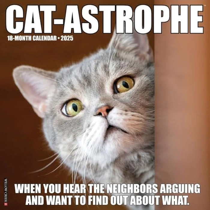 Cat-Astrophe 2025 12" x 12" Wall Calendar by WILLOW CREEK - Used - Acceptable condition