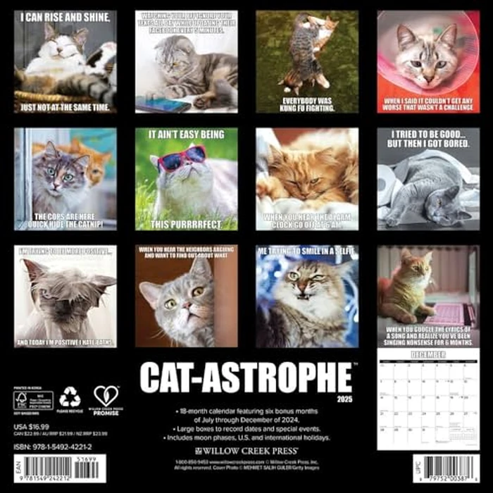 Cat-Astrophe 2025 12" x 12" Wall Calendar by WILLOW CREEK - Image 3