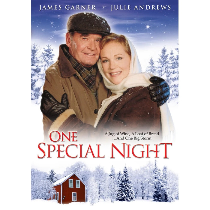 One Special Night by Good Times Home Video - Used - Acceptable condition