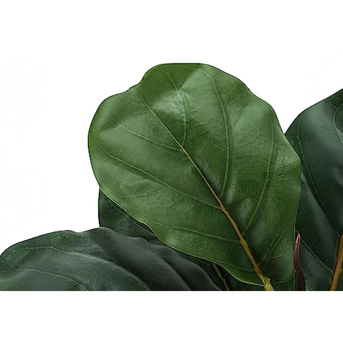Monarch Specialties I 9505 Artificial Plant, 28" Tall, Fiddle Tree, Indoor, Faux, Fake, Floor, Greenery, Potted, Real Touch, Decorative, Green Leaves by Monarch Specialties - Image 3