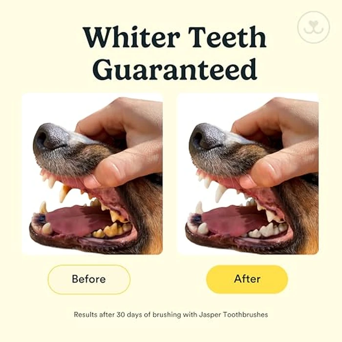 Jasper Dog Toothbrush, 360 Dog Tooth Brushing Kit, Finger Toothbrush, Cat Tooth Brush, Teeth Cleaning, Pet Tooth Brush for Small & Large Pets, Pet Toothpaste Not Included, 2-Pack Blue by Jasper - Image 3