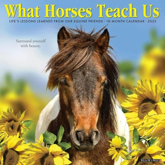 What Horses Teach Us 2025 12" x 12" Wall Calendar by WILLOW CREEK - Used - Like New condition - CA$4.40