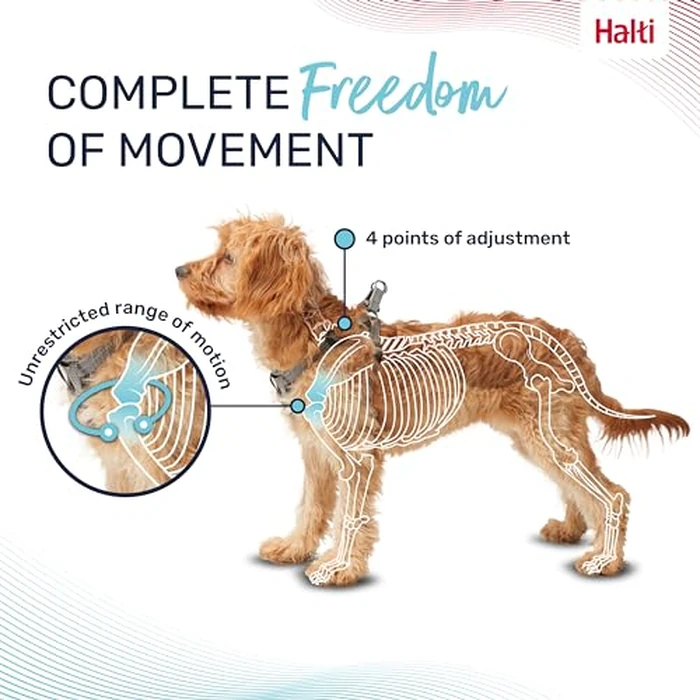 Halti Anatomy Puppy & Small Dog Harness - Soft & Comfortable Step-in Harness, 4 Adjustable Points, Lightweight & Reflective, for Miniature and Toy Dog Breeds (Size XS, Grey) by Halti - Image 2