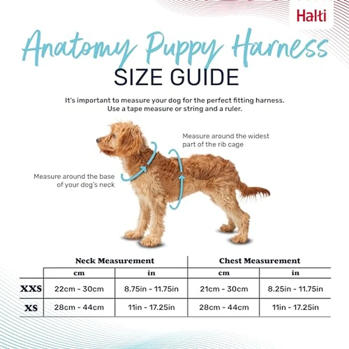 Halti Anatomy Puppy & Small Dog Harness - Soft & Comfortable Step-in Harness, 4 Adjustable Points, Lightweight & Reflective, for Miniature and Toy Dog Breeds (Size XS, Grey) by Halti - Image 4