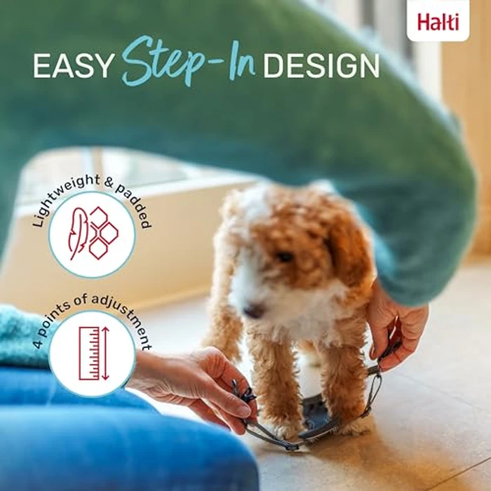 Halti Anatomy Puppy & Small Dog Harness - Soft & Comfortable Step-in Harness, 4 Adjustable Points, Lightweight & Reflective, for Miniature and Toy Dog Breeds (Size XS, Grey) by Halti - Image 6