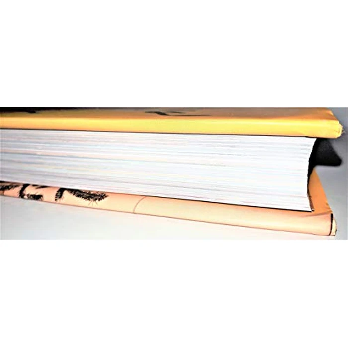 Simple Times: Crafts for Poor People by Grand Central Publishing - Used - Good condition