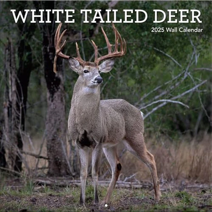 TURNER PHOTOGRAPHIC White Tailed Deer 12x12 Photo Wall Calendar (25998940059) by Turner Licensing - Used - Like New condition