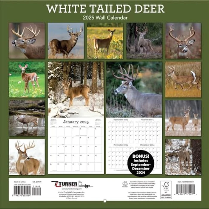 TURNER PHOTOGRAPHIC White Tailed Deer 12x12 Photo Wall Calendar (25998940059) by Turner Licensing - Image 2