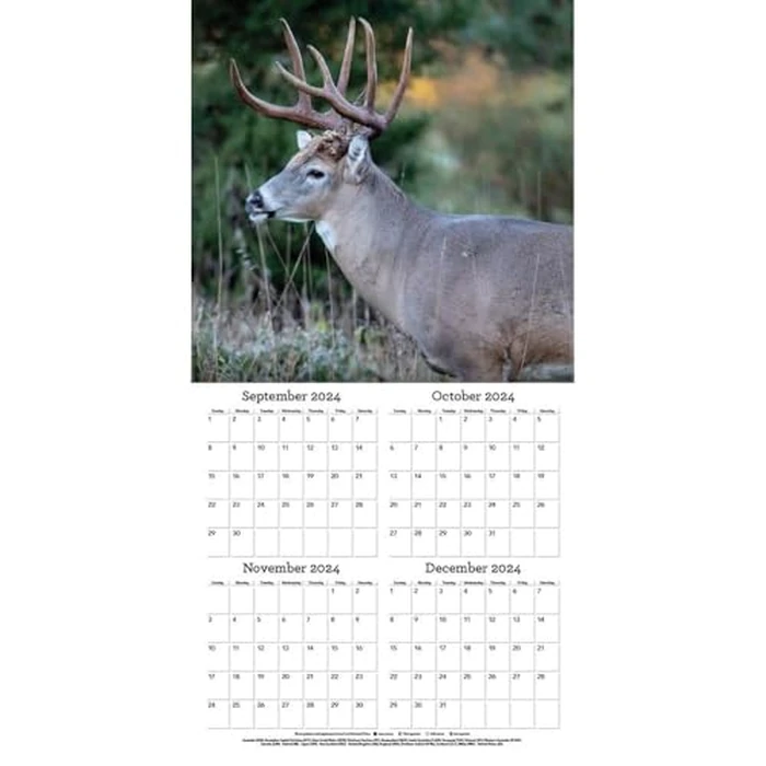TURNER PHOTOGRAPHIC White Tailed Deer 12x12 Photo Wall Calendar (25998940059) by Turner Licensing - Image 4