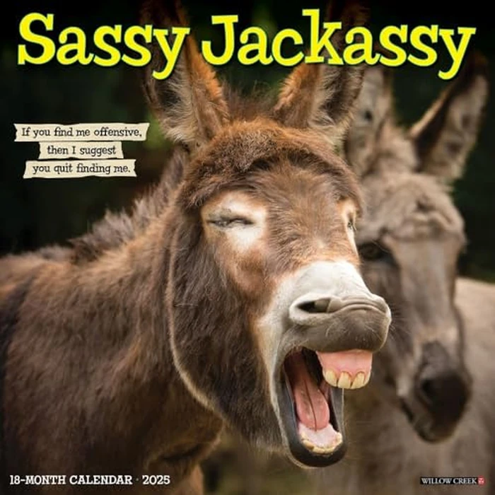 Sassy Jackassy 2025 12" x 12" Wall Calendar by WILLOW CREEK - Used - Like New condition - CA$10.80