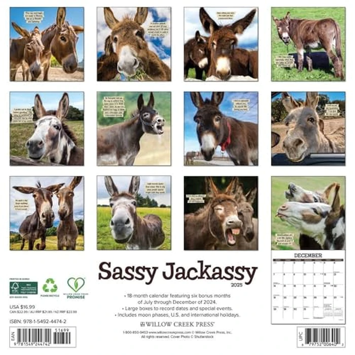 Sassy Jackassy 2025 12" x 12" Wall Calendar by WILLOW CREEK - Image 3