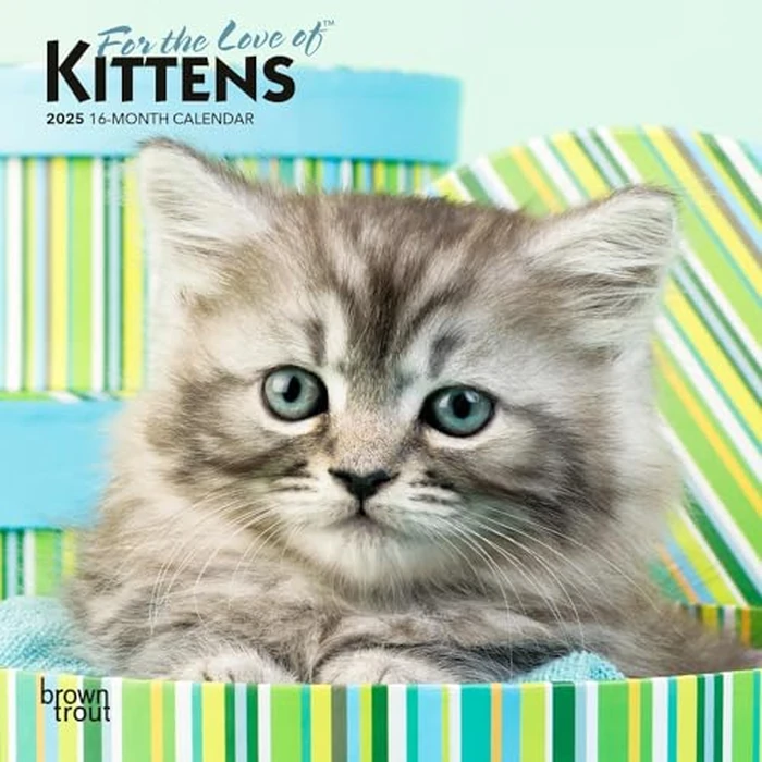 For the Love of Kittens | 2025 7 x 14 Inch Monthly Mini Wall Calendar | BrownTrout | Animals Cats Feline by BrownTrout - Used - Like New condition - CA$1.51